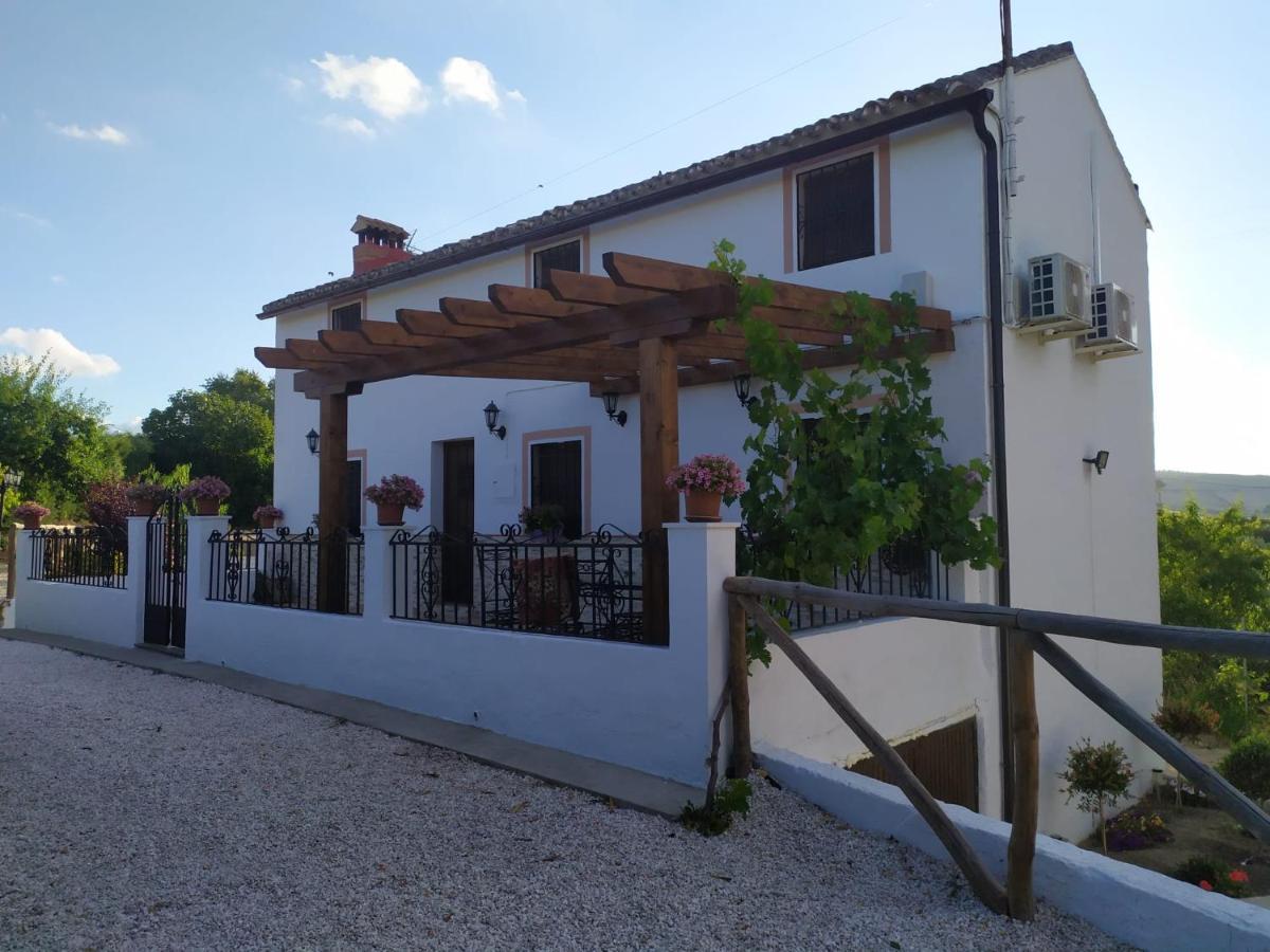 La Casa De La Abuela Guest House Setenil De Las Bodegas ภายนอก รูปภาพ