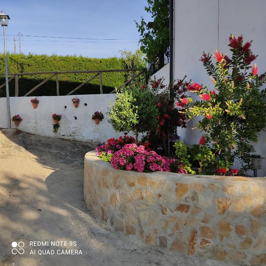 La Casa De La Abuela Guest House Setenil De Las Bodegas ภายนอก รูปภาพ