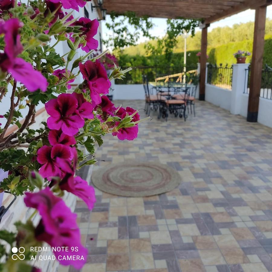 La Casa De La Abuela Guest House Setenil De Las Bodegas ภายนอก รูปภาพ