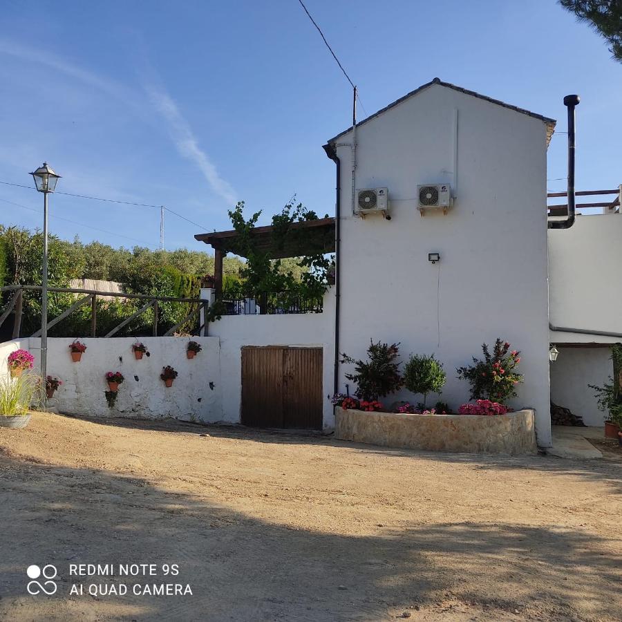 La Casa De La Abuela Guest House Setenil De Las Bodegas ภายนอก รูปภาพ