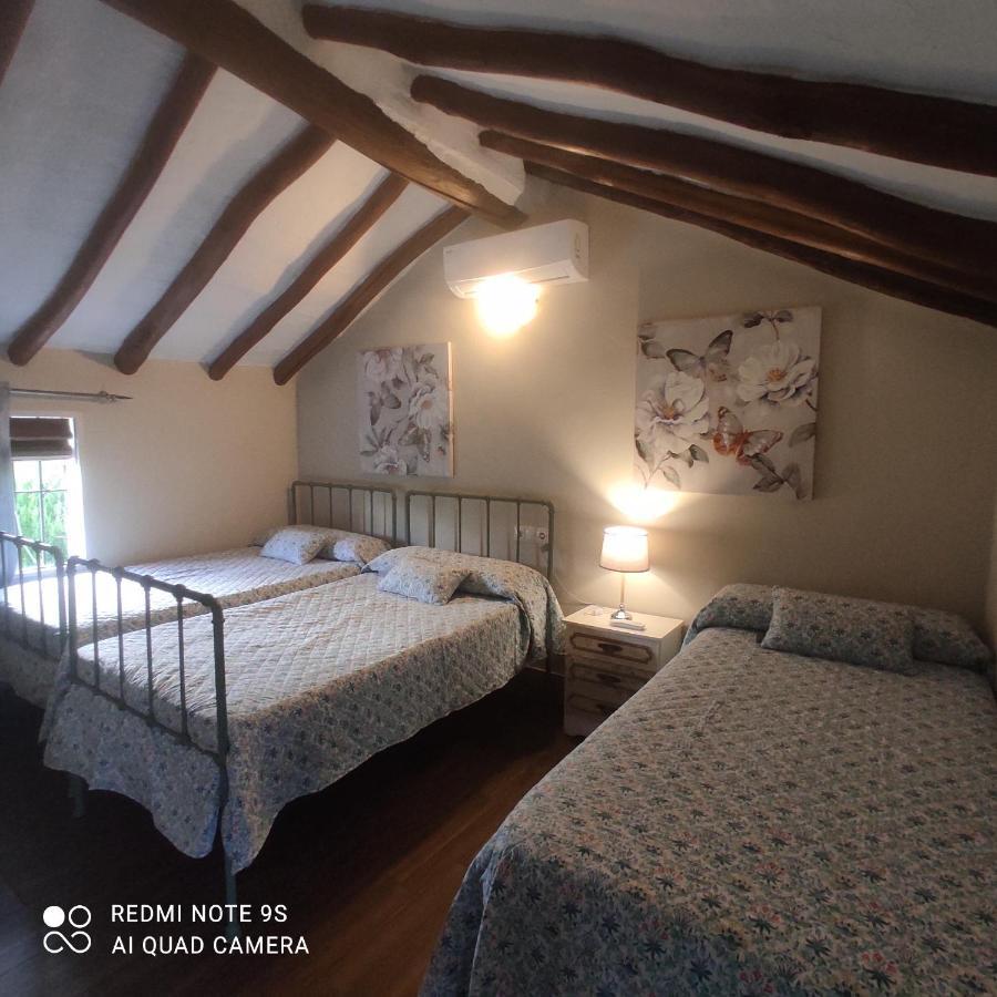 La Casa De La Abuela Guest House Setenil De Las Bodegas ภายนอก รูปภาพ